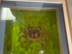 -壹只菜·崇明本地特色菜(崇明南门店)