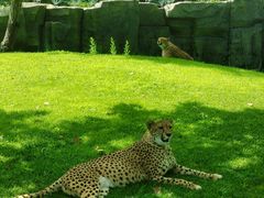 -北京野生动物园