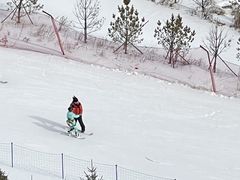 -密苑云顶乐园(云顶滑雪场)