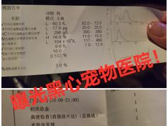 -创凡宠物医院·骨专科  猫科中心(西乡分院)