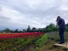 -富田农场
