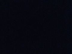 -卡吉诺动物奶油生日蛋糕(东明路店)