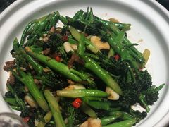 -鸽子侯·家宴·平价海鲜(市图书馆店)