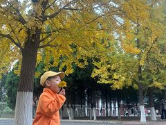 -辽宁大学(崇山校区)