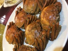 大闸蟹-抱德·潮汕味(敦和店原惠城鱼仔)
