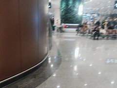 -麦当劳(北京大兴机场二层国内到达(安检外)店)