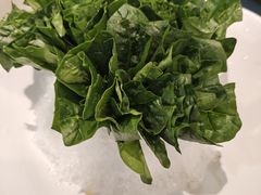-喜聚薈·花膠雞海鮮火鍋(越秀店)