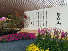-海心沙亚运公园