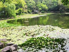 -灵谷景区