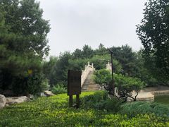 -团结湖公园