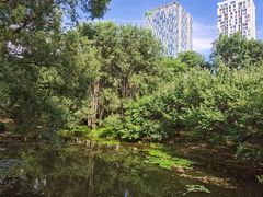 -长白岛森林公园