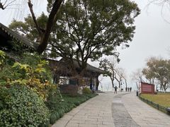 -柳莺湖上·湖景餐厅·江南菜(西湖店)