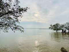 -宝安西湾红树林湿地公园