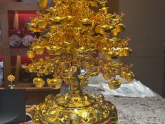 -一斗火锅·招财羊毛肚(泰吉滨江店)