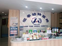 -恒幸动物医院·急重症转诊中心·神经内外科·CT核磁