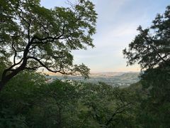 -北京鹫峰国家森林公园