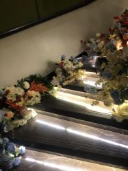 -静港气质医美