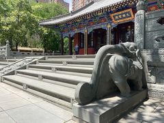 -护国法轮寺