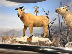 -陕西自然博物馆