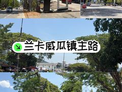 -瓜镇夜市