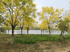 -东郊湿地公园