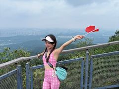-紫金山山顶公园