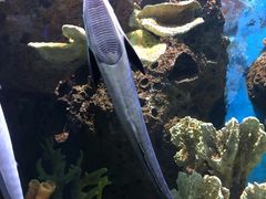 -多彩贵州城极地海洋世界