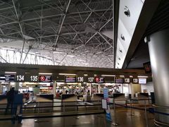 -谢列梅捷沃国际机场