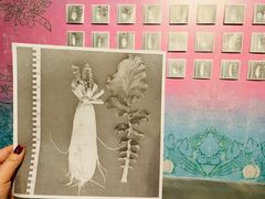 -chi K11艺术空间展览厅