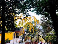 -灵岩山风景区
