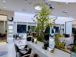 -BEAUTY HAIR GANO