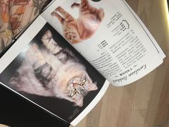 -CAT’S MEWSTAR CAFE·喵星球猫屋(晴湾咖啡店)