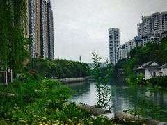 -温江公园