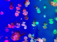 -成都浩海立方海洋公园