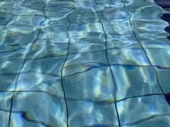 -同济大学四平路校区游泳馆