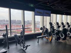 -威尔仕健身(虹桥南丰城店)