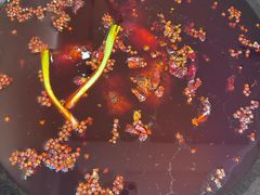 -岗上渣渣老火锅(两路口店)