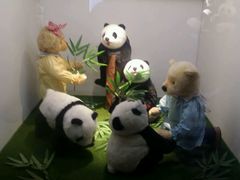 -成都泰迪熊博物馆