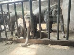 -石家庄市动物园