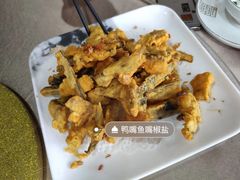 -鲤鱼塘农家山庄