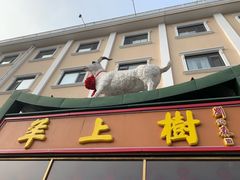 门面-羊上树(南门外店)
