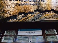 -国家自然博物馆