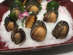 鲍鱼-红鼎豆捞·非遗鲍皇汤火锅(宝丰路店)