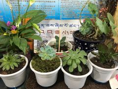 -口口香小吃店
