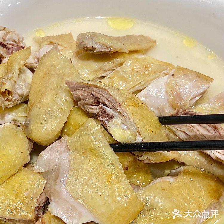‼️终于在这家老字号酒楼吃到了我的人生乳鸽!