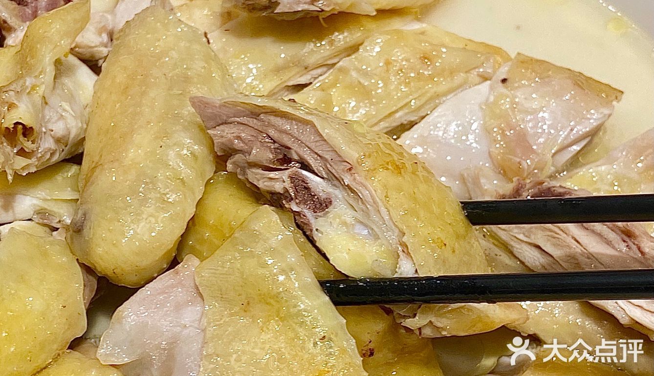 ‼️终于在这家老字号酒楼吃到了我的人生乳鸽!