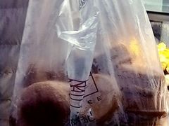 无水蜂蜜蛋糕-詹记桃酥(宿州路店)