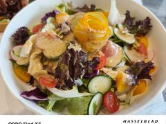 -凯鸽酒楼(大同振兴街店)