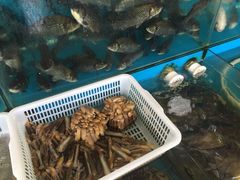 水产区-崖口红树林海鲜餐厅