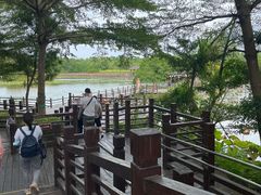 -大湾区中央湿地公园